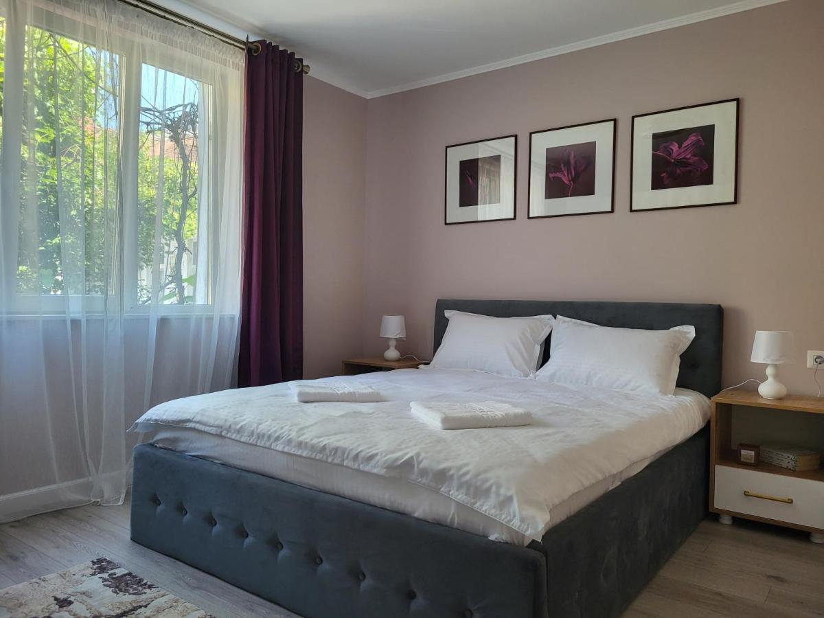 Pandora Central Apartment Cluj-Napoca Eksteriør bilde