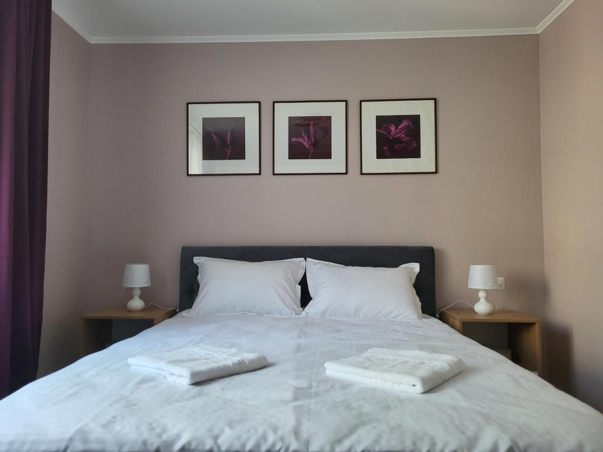 Pandora Central Apartment Cluj-Napoca Eksteriør bilde