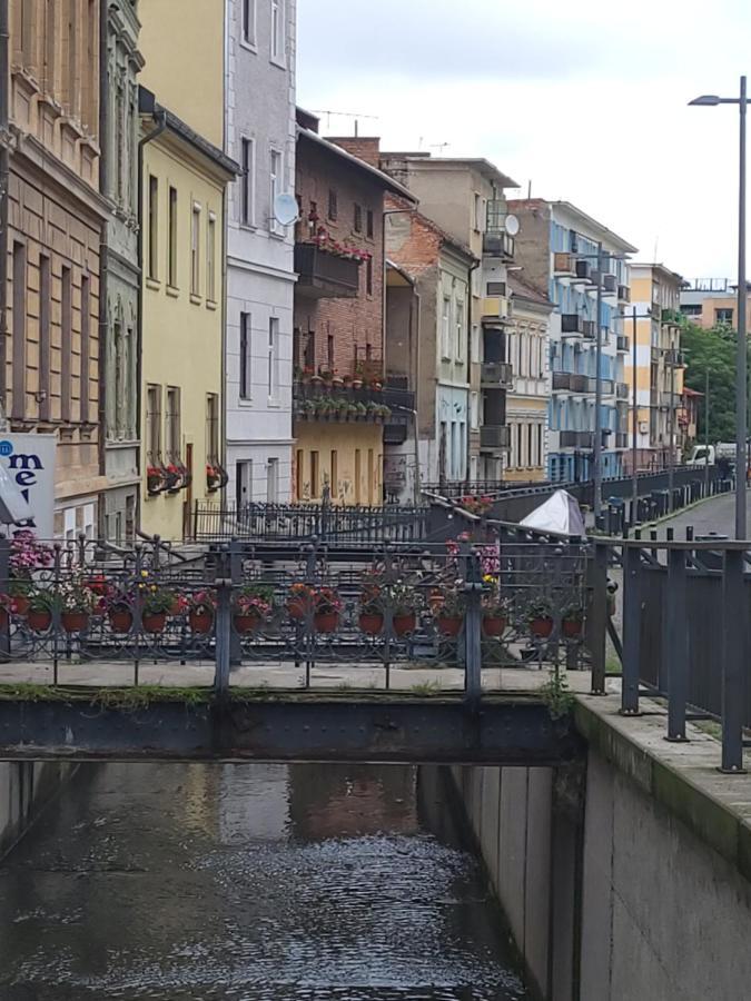 Pandora Central Apartment Cluj-Napoca Eksteriør bilde